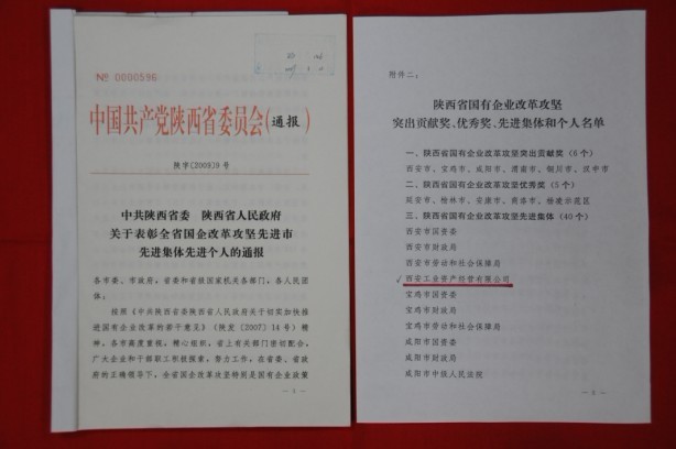 2009年2月，，，，，，被陕西省委、省政府授予陕西省国有企业刷新攻坚先进整体