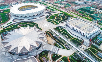 新宝GG—创立事业平台